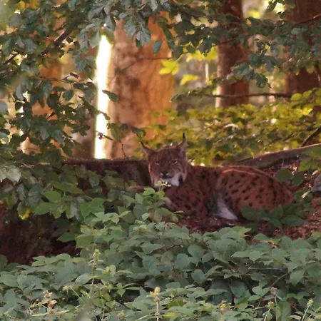 Haus Haidweg 4 هايدموهله